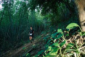 BIB: 
                            <button type="button" onclick="openModal(28124753)" class="btn btn-primary btn-sm float-right btn-popup" data-toggle="modal" data-target=".modal-high-quality">
                        <i class="fas fa-shopping-cart"></i> Add to Cart
                    </button>
                                            <button type="button" onclick="isThisMe(28124753, true)" class="btn btn-success btn-sm float-right btn-popup btn-isme hidden" data-toggle="tooltip" data-placement="bottom" title="นี่คือรูปของคุณใช่ไหม คลิกที่นี่เพื่อเอาเข้าอัลบั้ม">
                        <i class="fas fa-plus"></i> Add to album
                    </button>
                    <button type="button" onclick="isThisMe(28124753, false)" class="btn btn-warning btn-sm float-right btn-popup btn-isnotme hidden">
                        <i class="fas fa-ban"></i> Remove from album
                    </button>